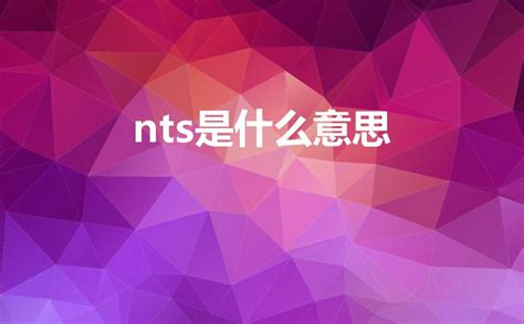 nts意思